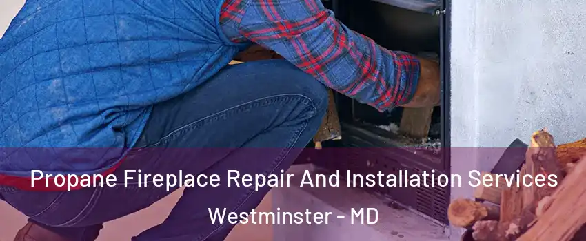  Propane Fireplace Repair And Installation Services Westminster - MD