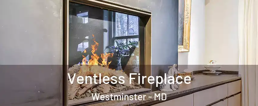  Ventless Fireplace Westminster - MD
